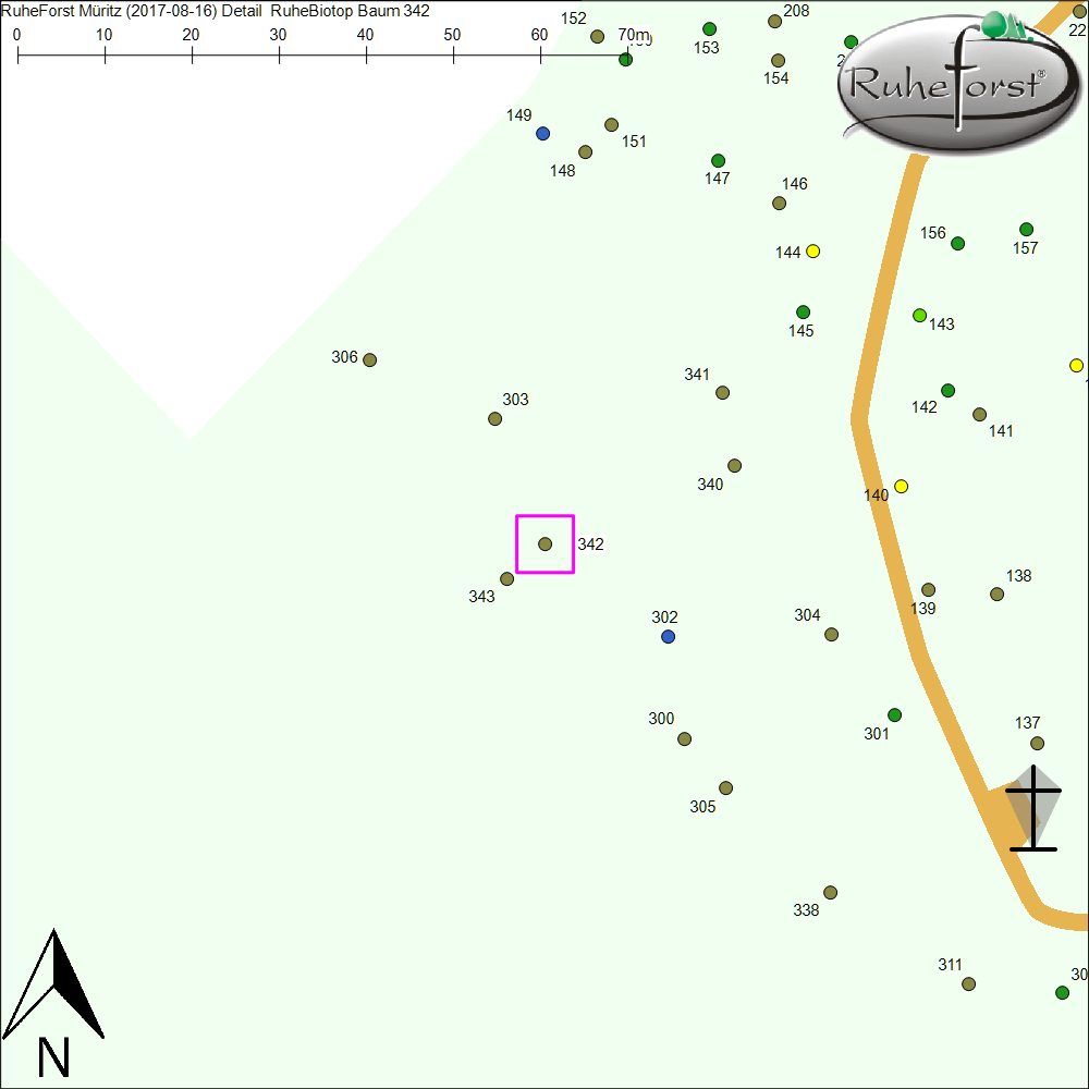 Detailkarte zu Baum 342