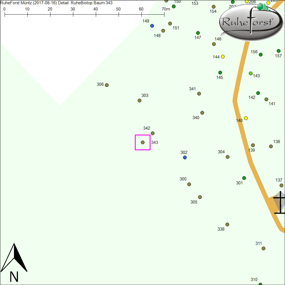 Detailkarte zu Baum 343