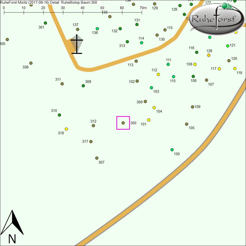Detailkarte zu Baum 350